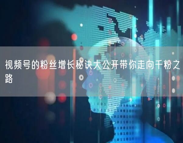 视频号的粉丝增长秘诀大公开带你走向千粉之路