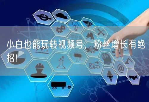 小白也能玩转视频号，粉丝增长有绝招！
